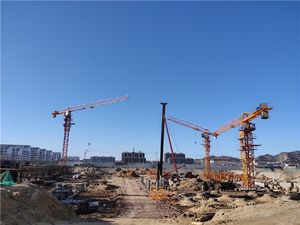 Grúa Torre PT5510 Nueva con Capacidad de Carga de 6 a 10 Toneladas, Equipada con Componentes Principales: Motor, Rodamiento, PLC, Engranaje y Motor - Product Image 6