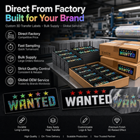 Autocollants 3D personnalisés en vinyle imperméable à transfert thermique, étiquettes holographiques thermocollantes pour vêtements, t-shirts, sweats, sacs, chapeaux, logo en relief DIY