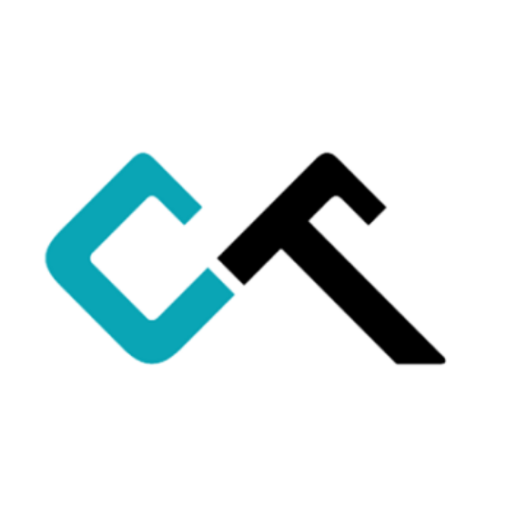 Shenzhen Stone Wisdom Technology Co., Ltd. logo