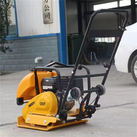 FPB-20 de compacteurs à plaques vibrantes Wacker de 85kg
