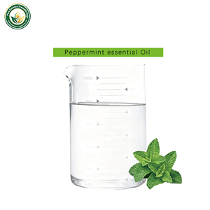 Huile de menthe poivrée |   Huile rafraîchissante purement végétale, anti-inflammatoire, anti-<span class=keywords><strong>d</strong></span>émangeaisons |   Cosmétiques/Aromathérapie/Matières premières en gros - Product Image 2