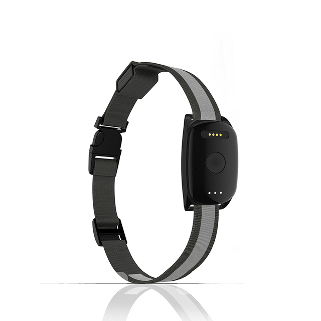 Anti-lost 2G Pet GPS Tracker with Real Time Geo Fence Smallest Collar for Dog and Cat Pet Tracking Device