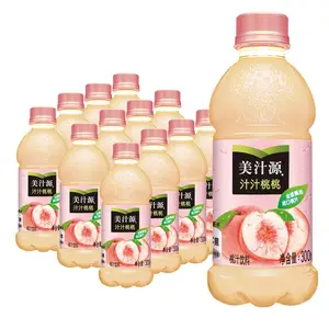 300mlx12pcs Fruit peach juice nice price Beverages chinese exotic drinks