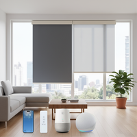 Stores enrouleurs occultants électriques personnalisés Zigbee à piles pour la décoration intérieure