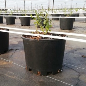 Blueberry Trang Trại 25 Lít Vòng Nursery Nồi Cho Trồng Cây Cây Trồng Cây Trồng Chậu Cho Quả Việt Quất - Product Image 3