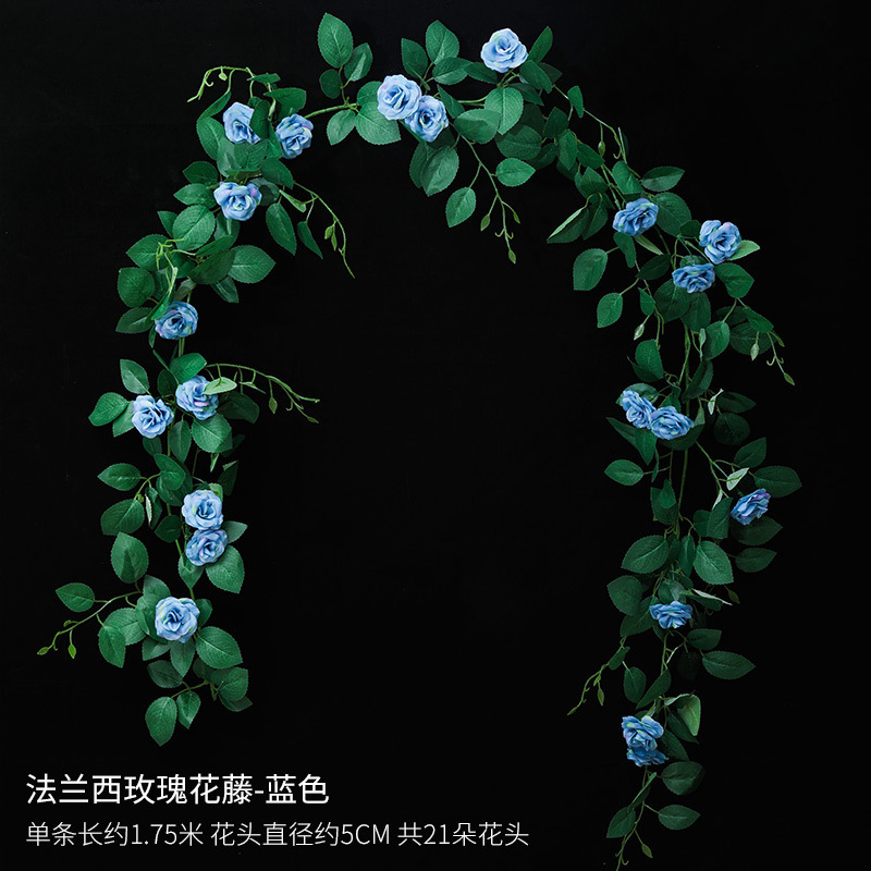 Vignes de roses françaises bleues