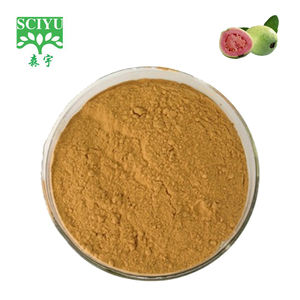 100% puro Estratto di Foglie di <span class=keywords><strong>Guava</strong></span> <span class=keywords><strong>Guava</strong></span> Polvere di Frutta - Product Image 1