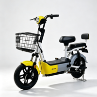 Vélo électrique rétro à 2 roues avec panier avant, scooter électrique à double siège, vélo électrique de banlieue pour adultes, vente en gros