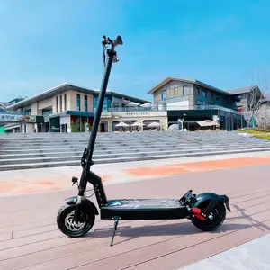 2024 DriveTron almanya fransa standart maksimum hız 25 km/s 500w ab 120KG yük elektrikli Scooter fiyat ile İsveç için