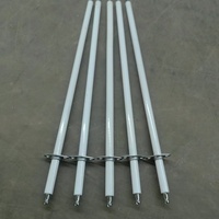 Pièce d'allumeur en céramique d'alumine de bougie d'allumage d'électrode avec le fil de 1/2 NPT