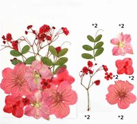 Gedroogde geperste bloemenset hortensia roos gypsophila gemengde bloemen geperste bloemen voor hars oorbel hanger DIY gedroogde bloemen knutselwerk