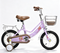 Vélo pour enfants rose de haute qualité, durable, avec roues d'apprentissage et porte-bagages arrière, vente directe d'usine professionnelle, pour l'exportation