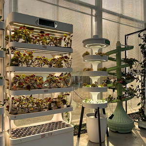 Nuevo Sistema Hidropónico Agrícola Skyplant - Jardín Vertical con Diseño de Ahorro de Agua para <span class=keywords><strong>Agricultura</strong></span> Comercial - Product Image 4