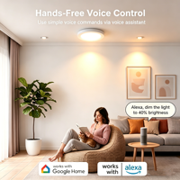 Plafonnier LED intelligent à montage en surface CW 1800LM Tuya Wifi pour Alexa Google App Control, luminaire de plafond LED à intensité variable pour la maison