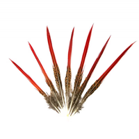 Vente en gros de queues de faisan doré naturel de 5 à 25 cm Plumes à pointe rouge pour coiffure de carnaval Artisanat Costumes de danse