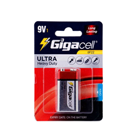 Pila Carbon Zinc 9V avec batterie 9 volts longue durée pour micros sans fil, pédales d'effets guitare/accordeurs, radios bidirectionnelles