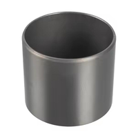 TOPU haute qualité TP179 17067 265970 0942.17 421001010 9151343780 poussoir de soupape poussoir de soupape pour PEUGEOT FIAT LANCIA