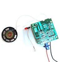 Fabrication de puces électroniques et assemblage de circuits imprimés pour talkie-walkie numérique LCD sans fil, carte mère PCBA, jouet électronique