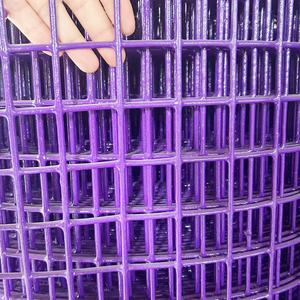 대량 주문 <span class=keywords><strong>20x20mm</strong></span> 구멍 크기 핫 디핑 아연 도금 용접 와이어 메쉬 - Product Image 6