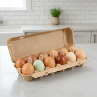 Échantillons Gratuits Vente en Gros Boîte à 12 Alvéoles pour Œufs de Poule Biodégradable Marron Recyclable Jetable