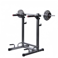 CZFIT Cage de musculation multifonctionnelle en métal pour usage domestique, Tour de musculation, Machine Smith, pour Squats, Épaules, Dos, Bras, Poitrine, Personnalisable