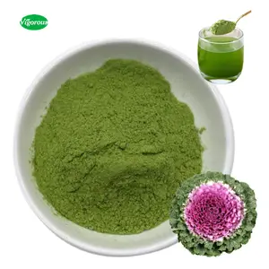 Kostenlose Probe Brassica oleracea Pulver grünes Gemüse Grünkohl Saft Pulver Bio Grünkohl Pulver