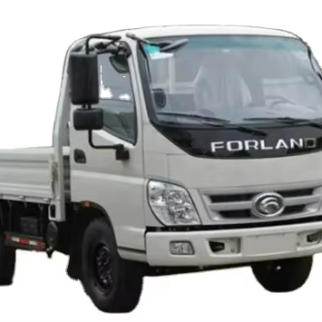 Forland FOTON 2T 4X2 Cargo Truck - Efficient Part-Load Transport