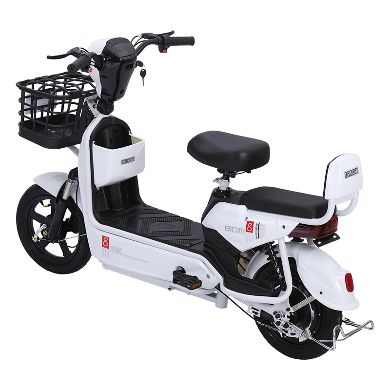 Electric E Scooter Tailg E Bike High Performance