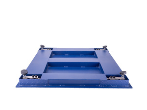 Báscula Digital Electrónica Veidt de 1.2*1.2m y 5mm, Personalizable OEM/ODM, para Ganado y Animales, de Alta Resistencia, Modelo TCS-DD 1.2*1.2m - Product Image 4