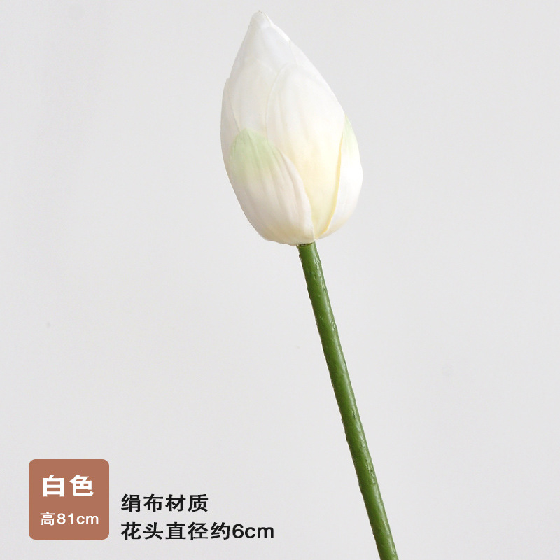 Single lotus bud-white