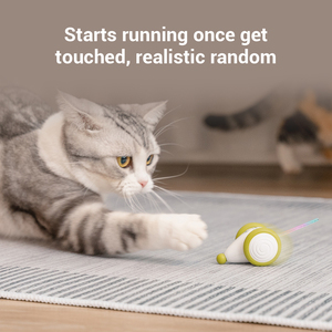 Natale interattivo USB ricarica Mouse cattura <span class=keywords><strong>gioco</strong></span> eco-friendly giocattoli innovativi per prendere in giro per gatti moderno stile di moda - Product Image 3