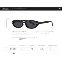 Lunettes de soleil tendance œil de chat à petite monture, polyvalentes pour les vacances en extérieur, protection UV pour femmes