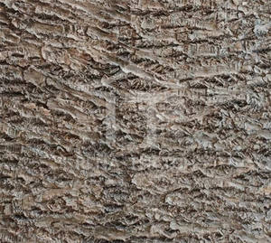 Cascas de Árvore Decorativas de Material PE de Aparência Natural, Alta Qualidade, para Cobertura de Telhados, Paredes ou Envoltório de Tubos - Product Image 5