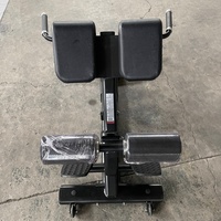 Banc d'extension du dos Chaise romaine 45 degrés Hyperextension Extension du dos réglable Banc d'entraînement Gym Fitness Musculation
