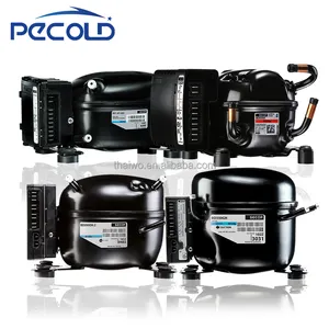 Qdzy 35G Secop Compressor Miniatuur Koelcompressor Dc 12V Koelkastcompressor R134a R600a