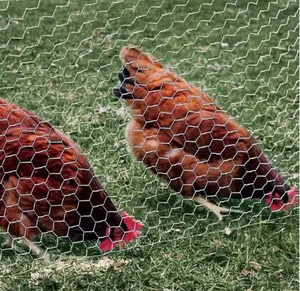 BOCN prix d'usine approvisionnement crabe/homard/piège à poisson treillis métallique <span class=keywords><strong>hexagonal</strong></span>/filet de clôture en fil de poulet - Product Image 3