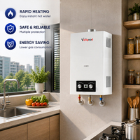 Chauffe-eau instantané au gaz 20L, type cheminée, mural, sans réservoir, pour eau chaude domestique continue