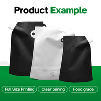 Sachets à bec verseur jetables en gros, en PET/Kraft/PE, avec filtre intégré, impression OEM pour café