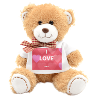 Songshan Toys T-shirt personnalisé vêtements OEM personnalisé peluche logo animal en peluche ébauches de sublimation petit ours en peluche cadeau pour enfants