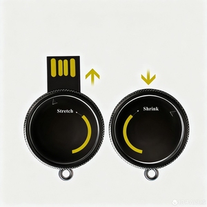 低价金属圆形硬币形u盘，带定制标志 - Product Image 2