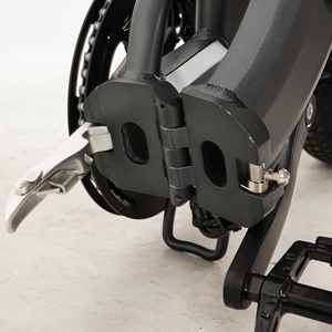 Chúng tôi Cổ Phiếu Coswheel y20l 750W Xe đạp điện 20in điện lai xe đạp 48V 15ah off road xe đạp điện - Product Image 3