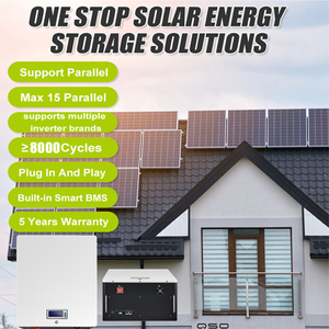 Bộ pin <span class=keywords><strong>Lithium</strong></span> <span class=keywords><strong>Ion</strong></span> gắn tường Eu Stock Lifepo4 15Kw 10Kw 200Ah 51.2V 48V 280Ah 314Ah 51.2V 300Ah 30Kwh 10Kwh 15Kwh 48V - Product Image 2