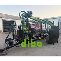 Grue forestière DIBO TUV CE PTO, entraînée par un tracteur, capacité de levage hydraulique de 2 tonnes, 7 m, grappin à bois, remorque pour tracteur
