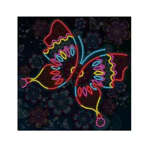 Diamante luminoso pittura farfalla e fiore trapano cristallo fai da te diamante ricamo arte moderna della parete arredamento raffinato per adulti