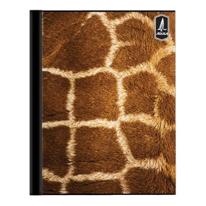 Panamá Papelería <span class=keywords><strong>Aguila</strong></span> 7,45 ''X 9,45'' Cuadernos Grandes 200 Páginas 100 Hojas Libro de Papel - Product Image 2