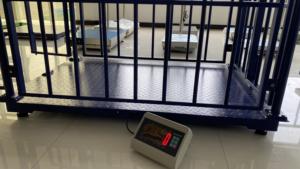 <span class=keywords><strong>1</strong></span> से 3 टन वजन के साथ सुअर और मवेशियों के लिए <span class=keywords><strong>1</strong></span> से 3 टन वजन पुल - Product Image 5