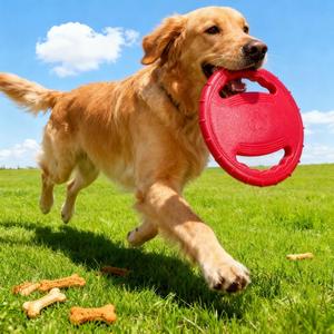 3-Pack Dog Flying Discs – Durable EVA Frisbee Toys in Yellow, Blue & Red for Training and Outdoor Play