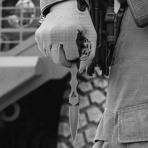 Băng ghế PN-6038 làm bằng thép không gỉ EDC đầy đủ tang Mini socp săn bắn Cắm Trại Dao sinh tồn dao cố định lưỡi với vỏ bọc kydex - Product Image 6