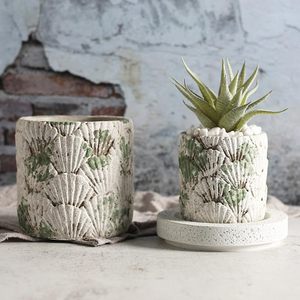 Maceta de Cemento con Relieve Vintage al por Mayor, Maceta de <span class=keywords><strong>Hormigón</strong></span> con Textura 3D Personalizada para Suculentas con Bandeja - Product Image 4