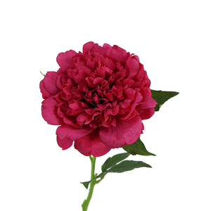 Fleurs artificielles réalistes, pivoine à grande tête, toucher réel, décoration d'intérieur, table à manger européenne, fleurs rouges, fleurs artificielles en gros - Product Image 5